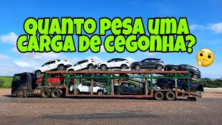 Em média, quanto pesa uma cegonha carregada?