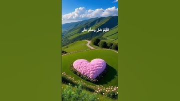 ((مَن قَرَأَ سورةَ الكَهفِ يومَ الجُمُعةِ أضاءَ له من النورِ ما بَينَ الجُمُعتينِ ))