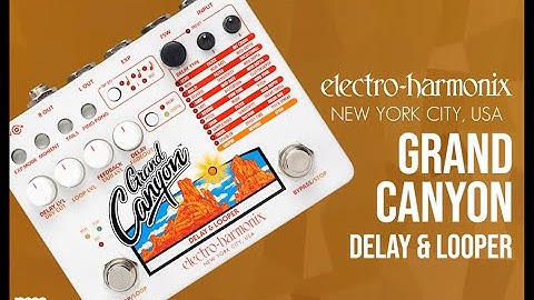 MusicMaker Presents - EHX GRAND CANYON Multifunction Delay & Looper Pedal