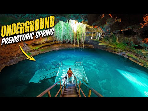 Exploring DEVILS DEN SPRING: Florida's Underground Paradise!