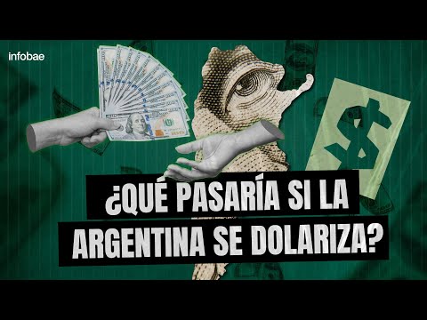 ¿QUÉ PASARÍA SI SE DOLARIZA LA ECONOMÍA ARGENTINA?