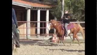 My Sunday With Chenouk On The Circle A Ranch
