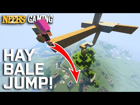 will-he-survive-the-fall?!---minecraft
