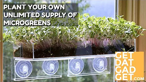 Window Garden Microgreens - Ultimate Vertical Kitchen Garden
