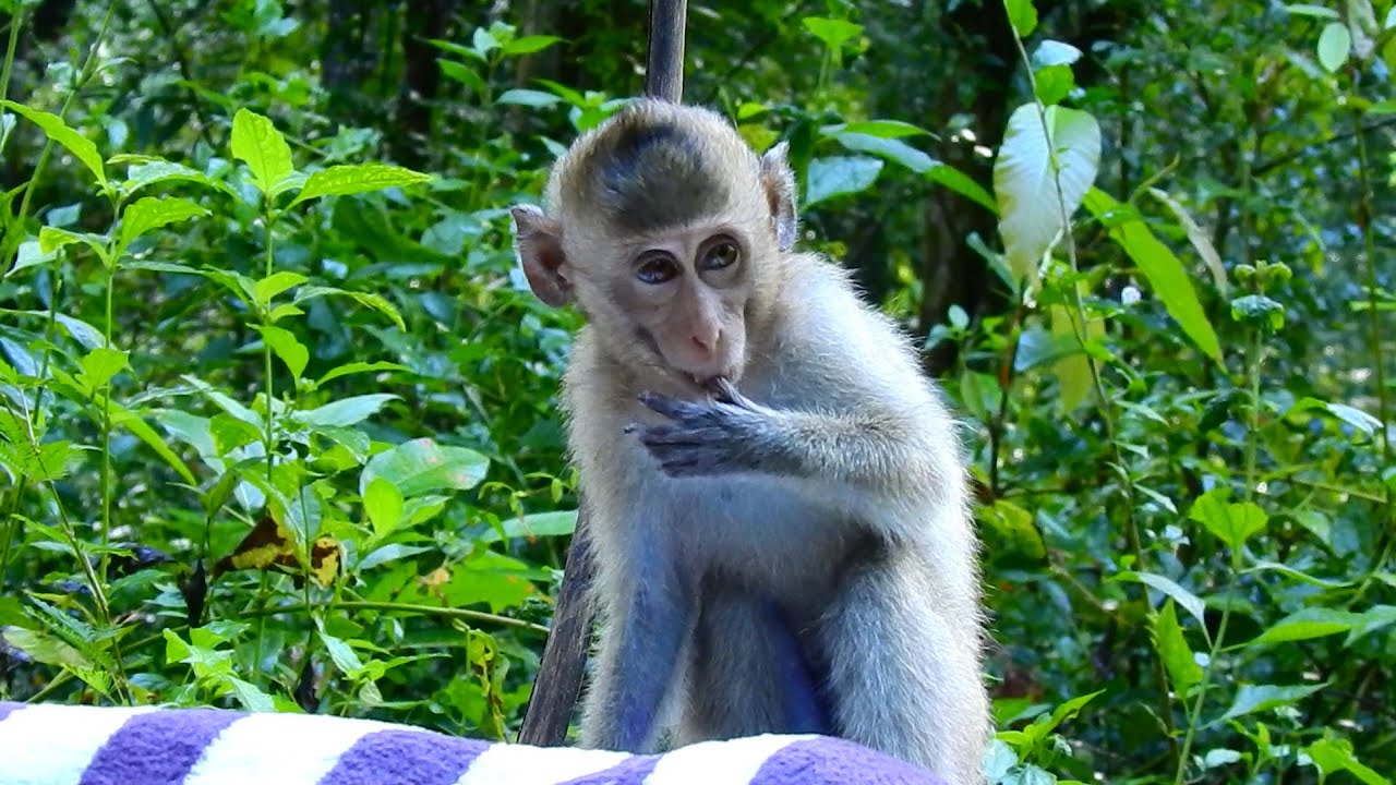 Wish you better soon Dawn after got antibiotic and vitamin