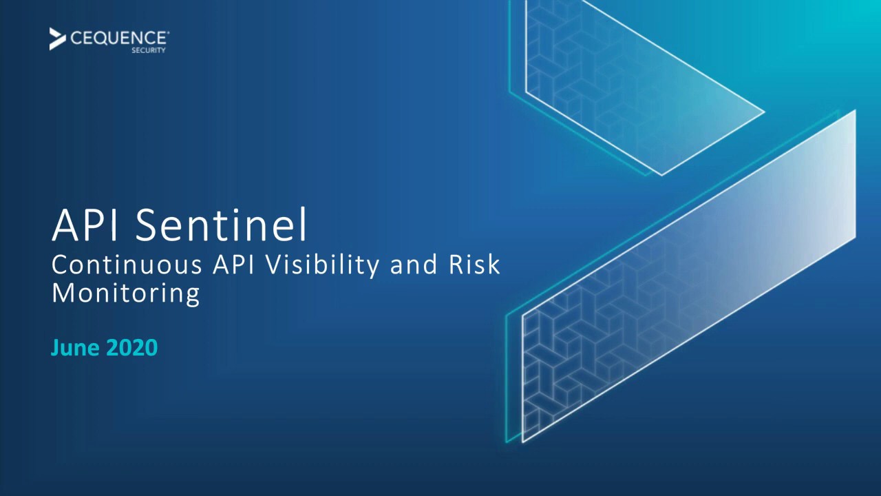 API Sentinel: Continuous API Visibility and Risk Monitoring - YouTube