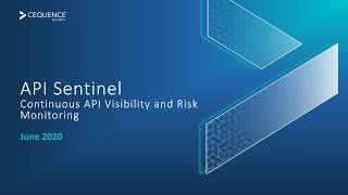 API Sentinel: Continuous API Visibility and Risk Monitoring