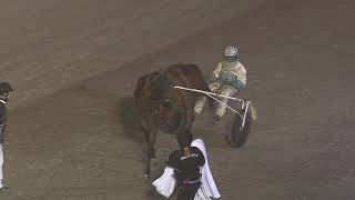 Vidéo de la course PMU PRIX KOMFAST-LOPPET