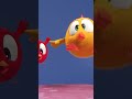 ¿Quién se ha tirado un pedo? #funnyanimals #Shorts #Chicky | Cartoon for kids