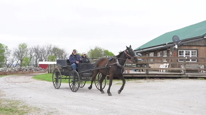 Zip Trip Detours: Higginsville