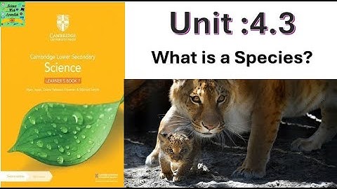 Cambridge Lower secondary, groep 7 | Fase 7 | Wat is een soort? | Variatie | #onderwijs #onderwijs