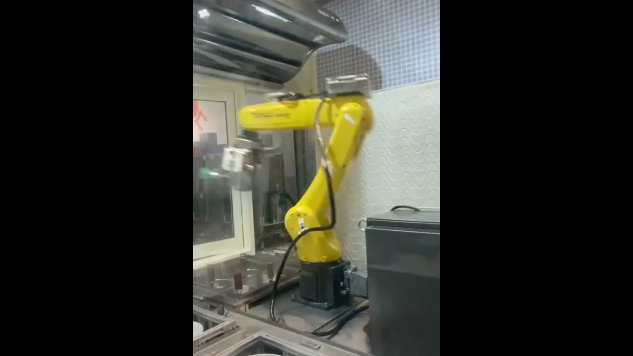 AmazingChina Robot Chef