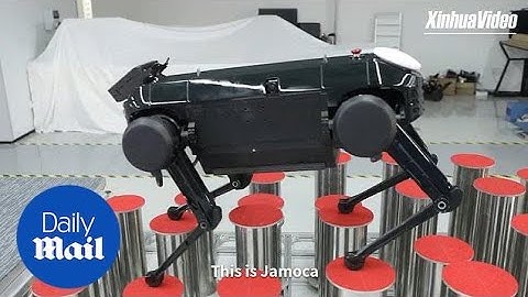Amazing footage shows robot dog 