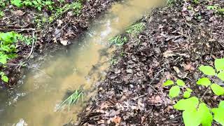 Greg is enjoying seeing the small creeks flowing again on their farms!