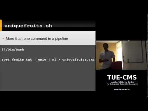 Linux Command Line: Day 3: Bash Shell Scripting