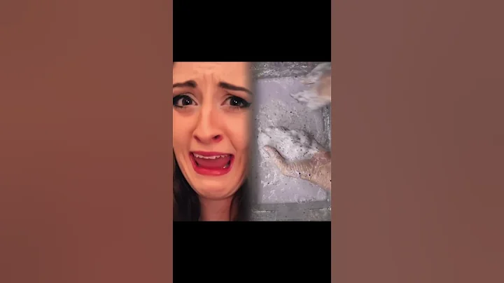 (pt. 8) The Super Snack Heist 🍨