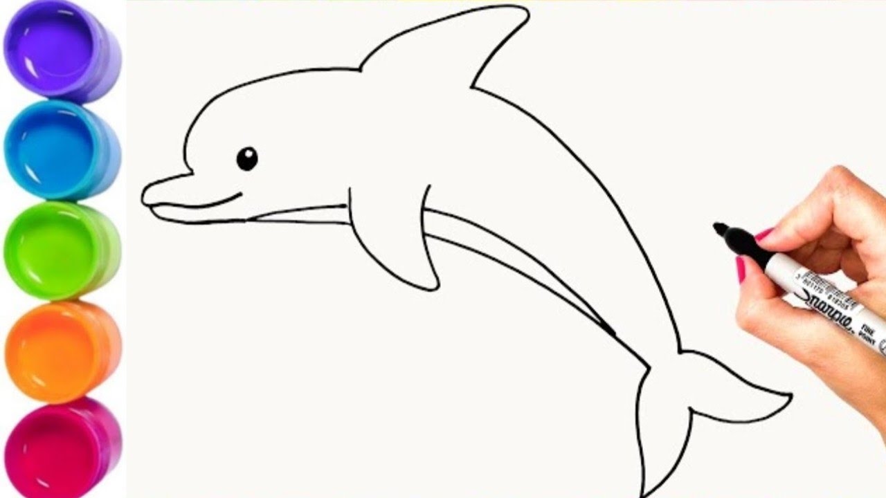 Сolorful Dolphin Fish Drawing, Painting, Coloring for Kids & Toddlers ...