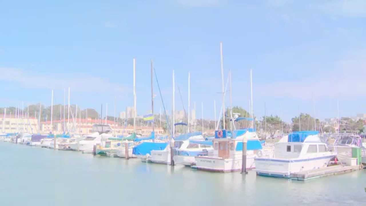 Ausversehen falscher titel