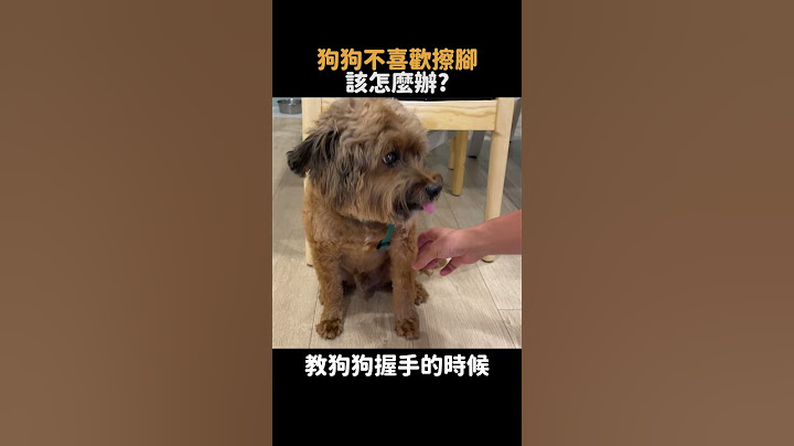 不給擦腳的狗怎麼辦～？😥 #浪浪別哭 #shorts