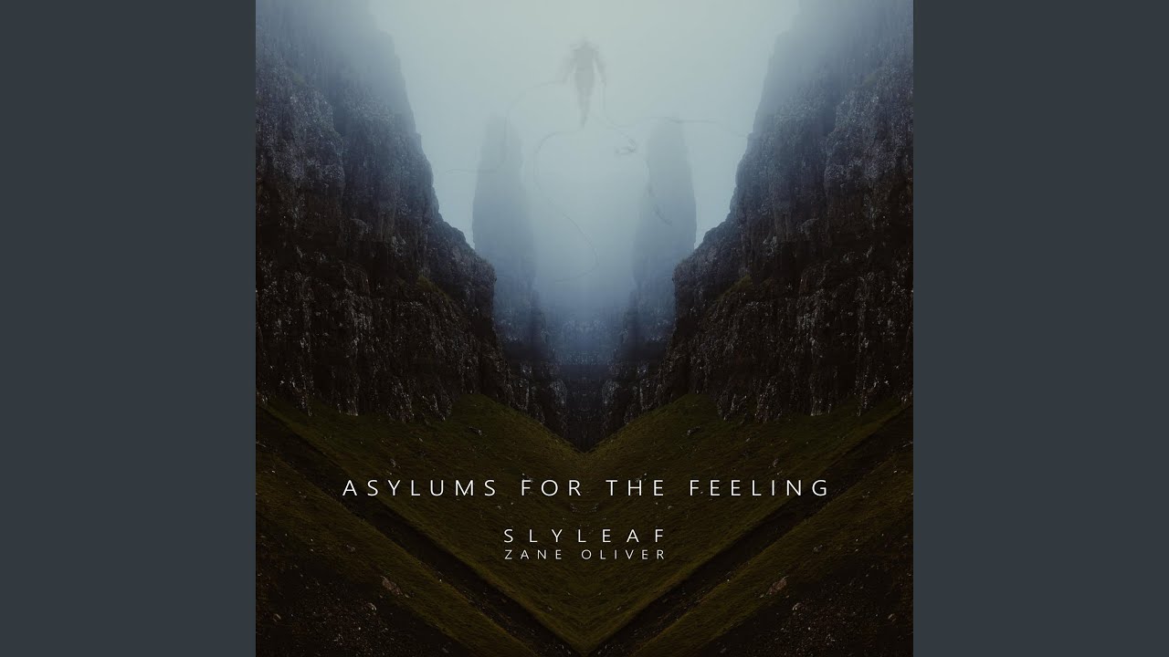 Asylums for the Feeling (feat. Zane Oliver)