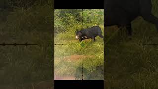 Hunting Clash - hunting Sun Bear in burma😎😎 #viral #trending screenshot 5