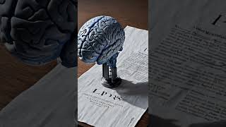 The Brain Science Behind Breathwork (PLOS One 2025)