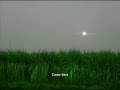 Aaja re - Noorie (Bally Sagoo) Whatsapp Status Video Download Free