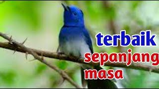 MASTERAN KACER TERBAIK SEPANJANG MASA