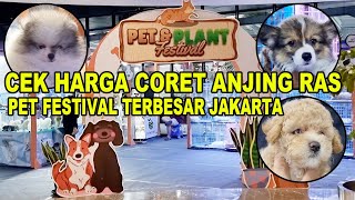 Daftar Harga Coret Anjing Ras Di Pet Festival TERBESAR Jakarta  Hublife Taman Anggrek