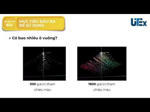 Video: Đặc điểm của thiết bị đầu vào là gì?