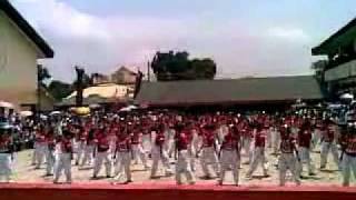 SJNHS Seniors Cheering Squad 2010