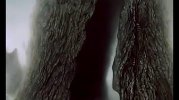 Ёжик в тумане. Мультфильм HD (1975г.)