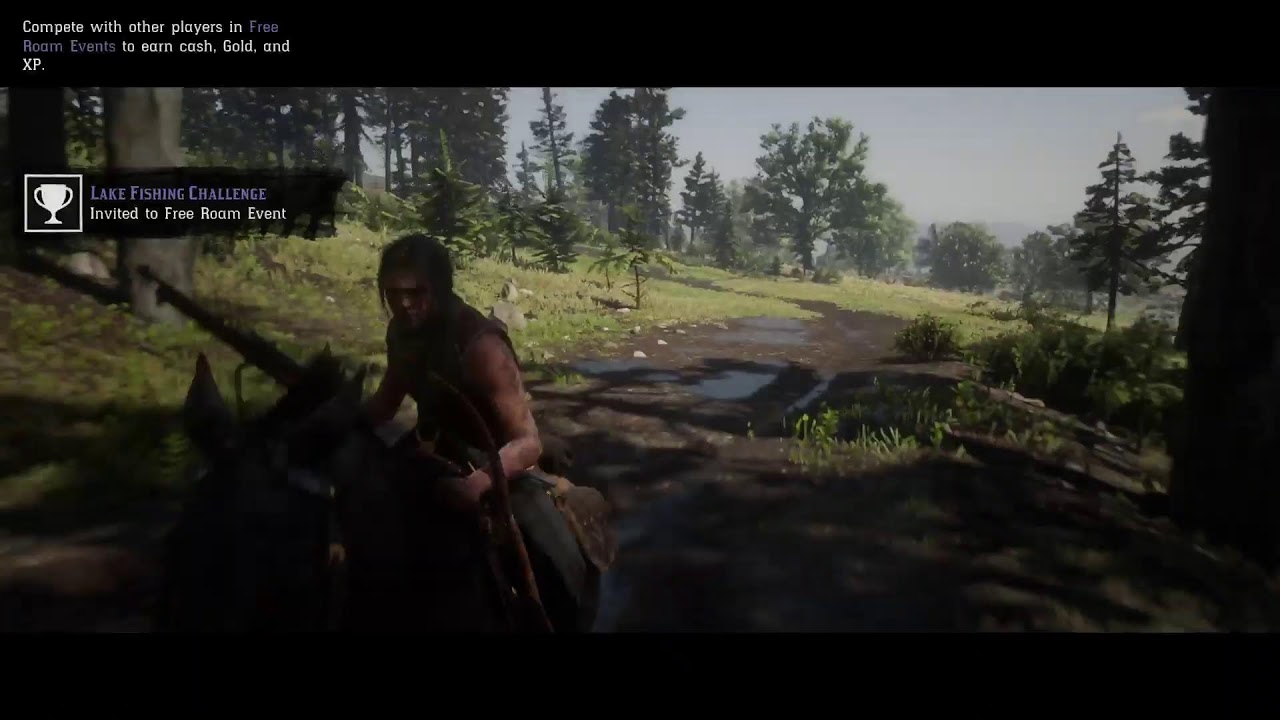 Red Dead Redemtion Online