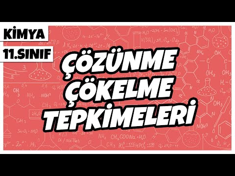 11. Sınıf Kimya - Çözünme Çökelme Tepkimeleri | 2022