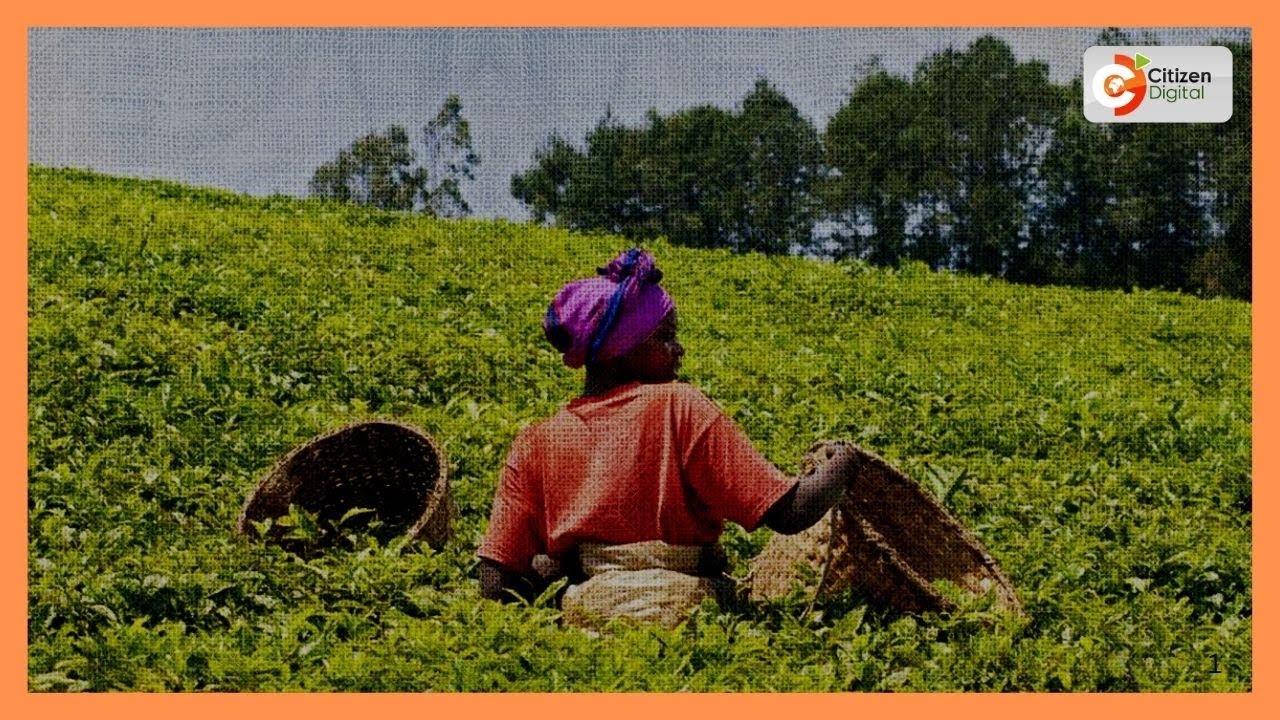 Farmers in Bomet protest low bonus payments