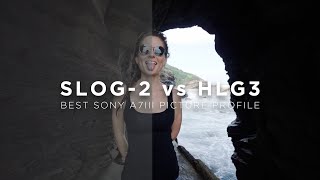 S-Log2 vs HLG3 BEST Sony A7III Picture Profile (In-Depth Review)