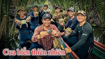 Về rừng U Minh móc hang cua " Biển " cùng team Săn Bắt Rừng Tràm | Gấc Quê #111