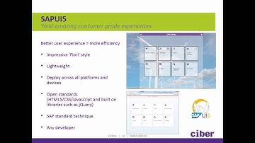 SAP User Experience (SAP UX) Strategy