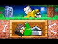 SONO STATO SEPOLTO VIVO in Minecraft