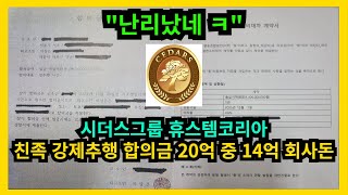 시더스그룹 휴스템코리아 친족 강제추행 합의금 20억 중…