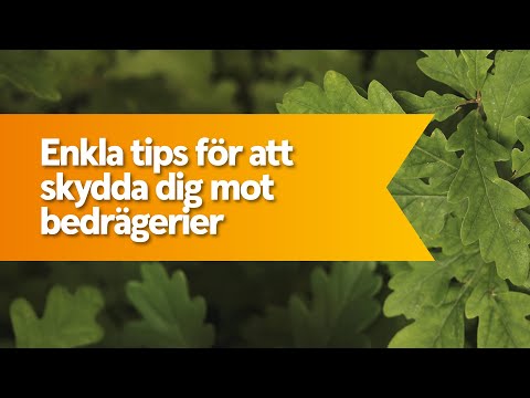 Video: Askepottens Berättelse är Liknande Bedrägerier! - Alternativ Vy