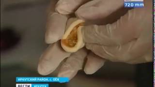 Фестиваль русской культуры в Иркутске начнётся 24 августа Фестиваль русской культуры в Иркутске начнётся 24 августа