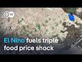 How El Nino and two wars are driving the next food price crisis | DW News Episode cover