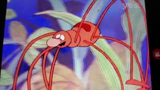 Maya the Bee Opening (Hebrew Movie)