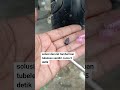 cara mudah dan murah tambal ban tubeless sendiri #shorts