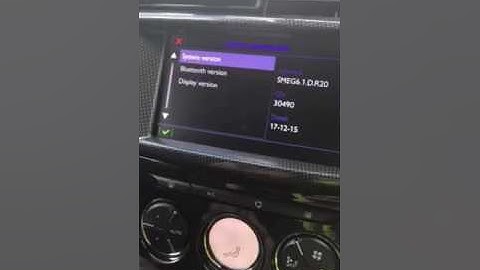 How to access hidden menu on  a DS3 to find the software version.
