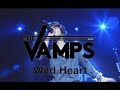 The Vamps - Wild Heart (Live In Birmingham)