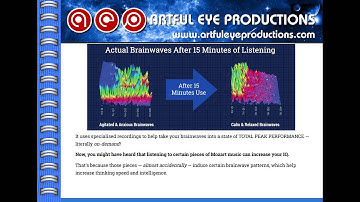 The Brain Evolution System