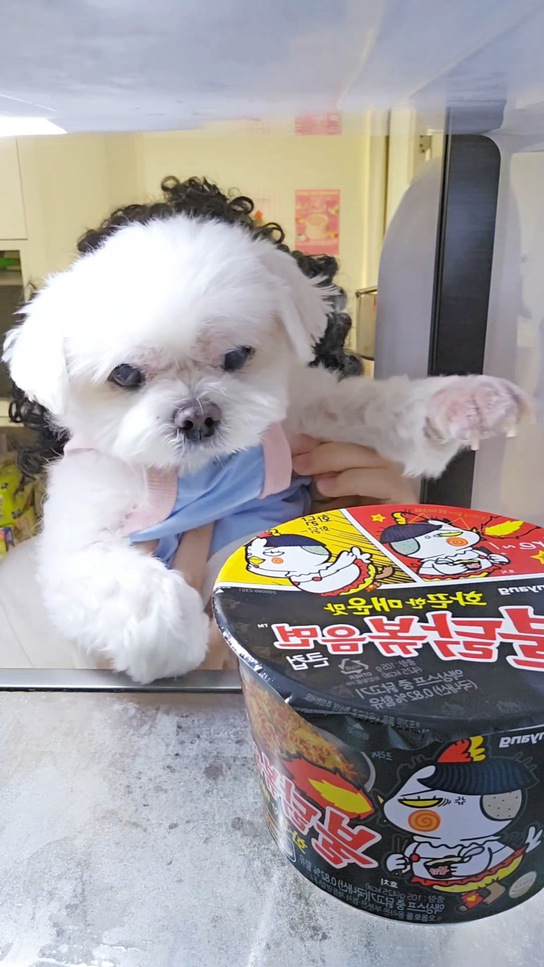 [Vowel]범인은 내가 아니야??I'm not the culprit#funny #TeamYELLOWHAT
