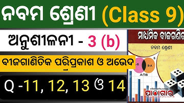 Exercise 3b, polynomial, class 9 math, Odia Medium, kutu sir guidelines.